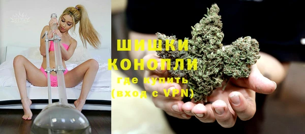 ГАЛЛЮЦИНОГЕННЫЕ ГРИБЫ Няндома