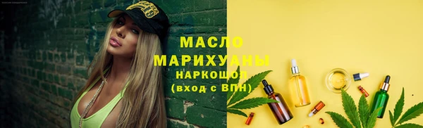 твердый Новодвинск
