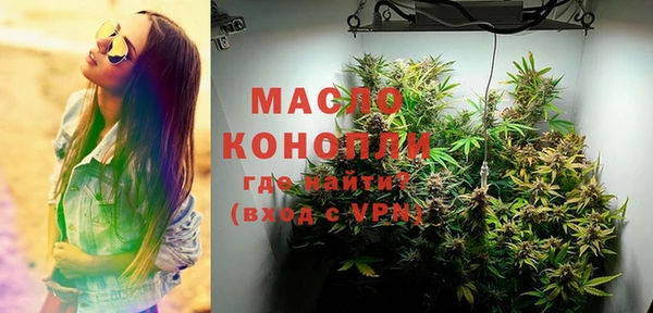 твердый Новодвинск