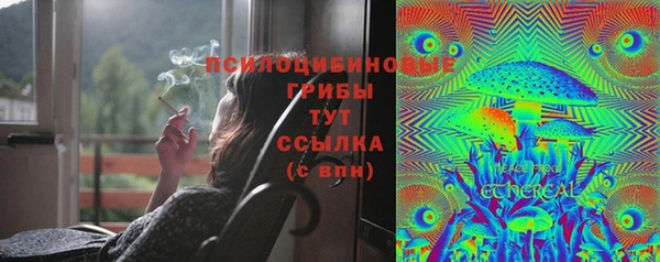гашик Нязепетровск