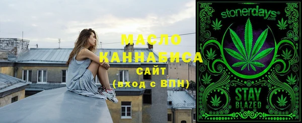 твердый Новодвинск