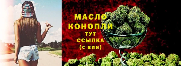 твердый Новодвинск