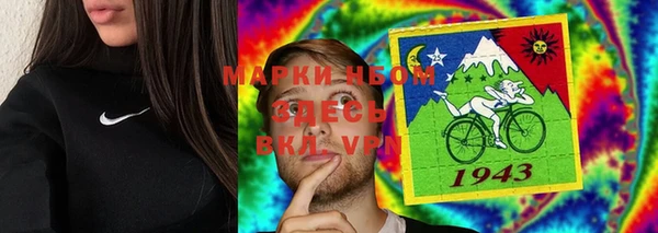 твердый Новодвинск