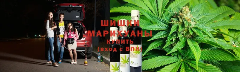 Шишки марихуана OG Kush  как найти закладки  Кирсанов 